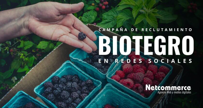 Campaña de reclutamiento de personal para Biotegro en Meta Ads